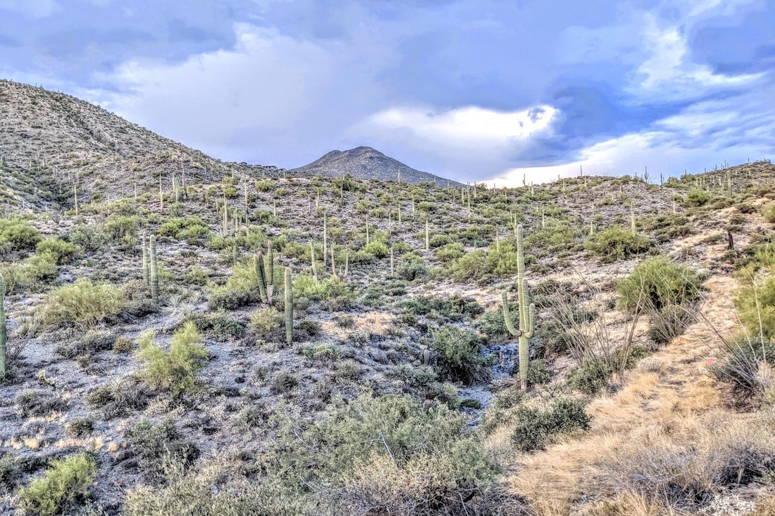 Land in Scottsdale, Arizona, United States 1 - 18816259