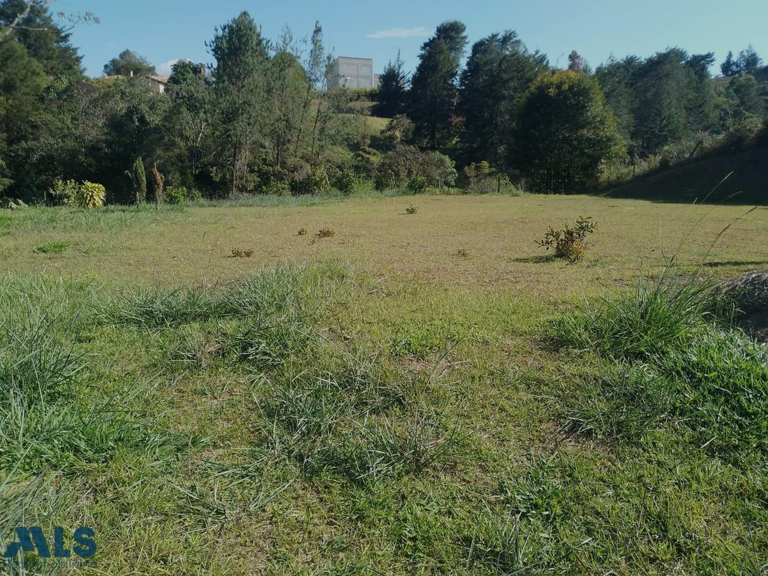 Land in Rionegro, Rionegro, Colombia 4 - 18816874
