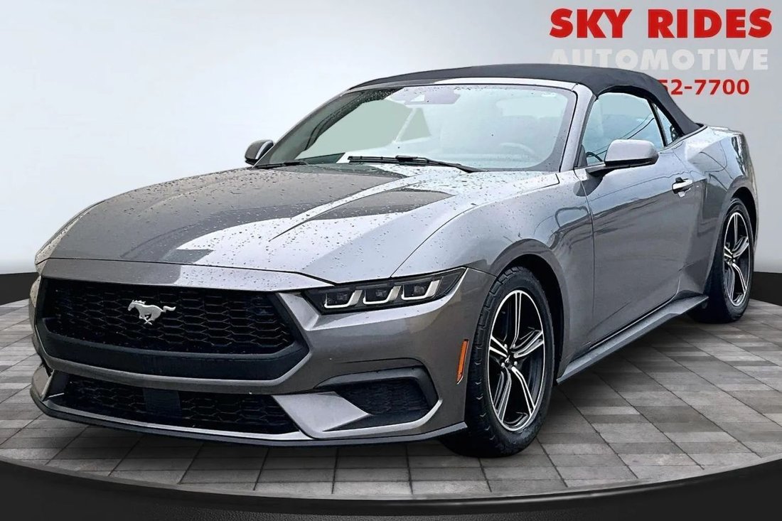 Cabriolet in Houston, TX, United States 3 - 18815718