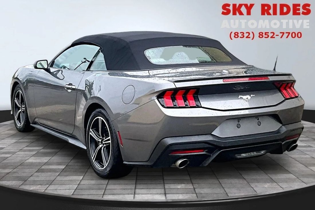 Cabriolet in Houston, TX, United States 4 - 18815718