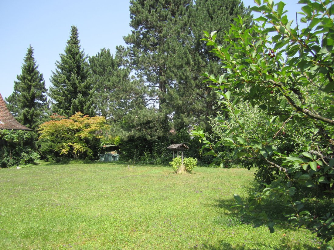 Terreno en Allschwil, Basilea-Campiña, Suiza 4 - 18571398