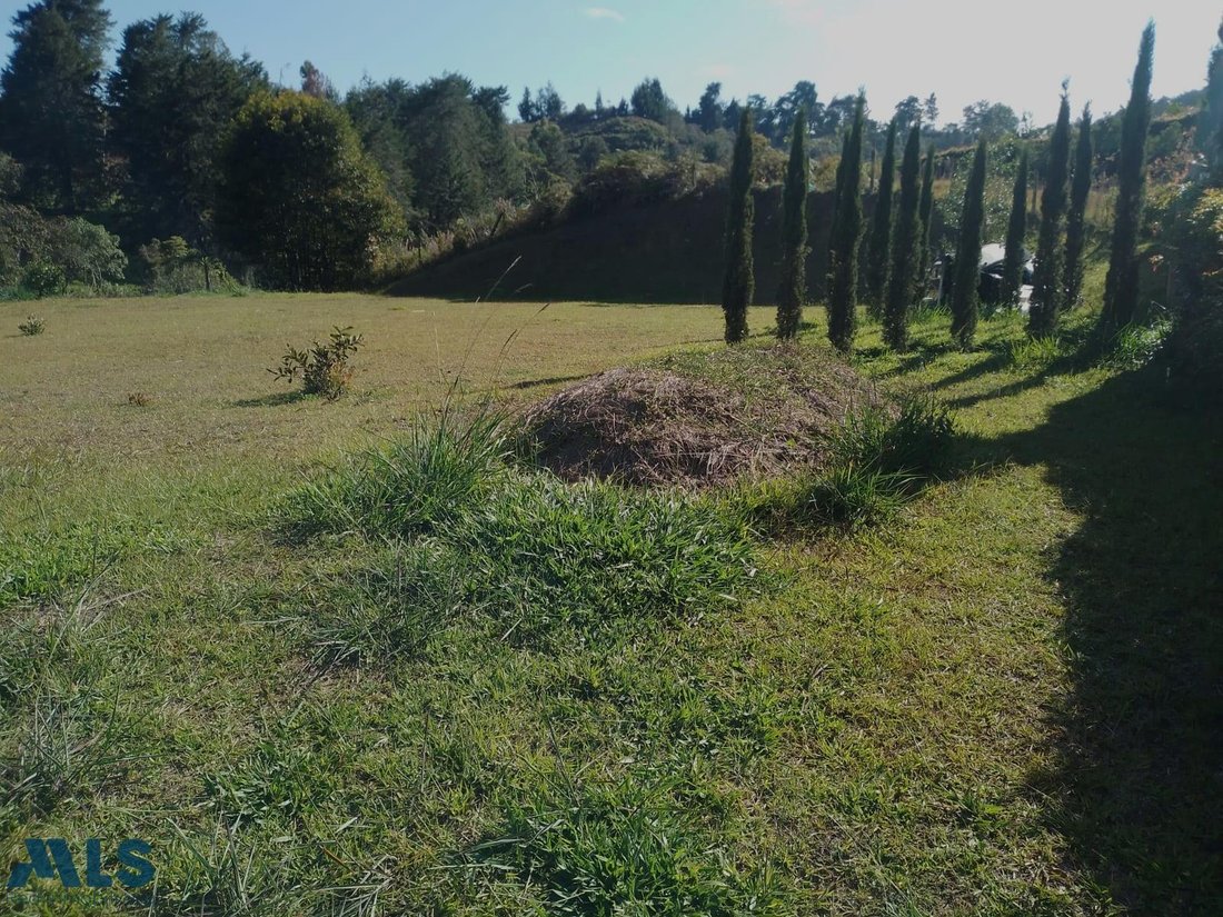 Land in Rionegro, Rionegro, Colombia 3 - 18816874