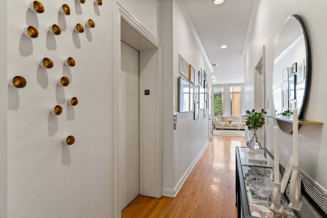 Condo in Chicago, Illinois, United States 4 - 18816879