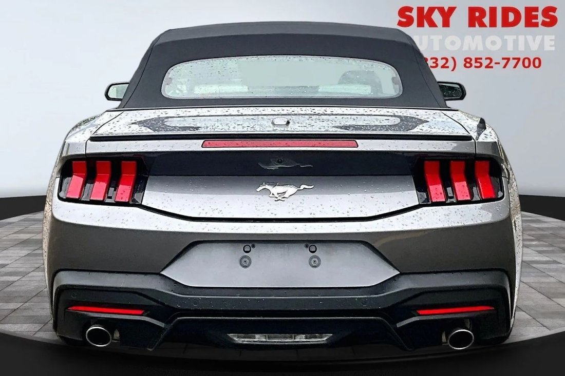 Cabriolet in Houston, TX, United States 5 - 18815718
