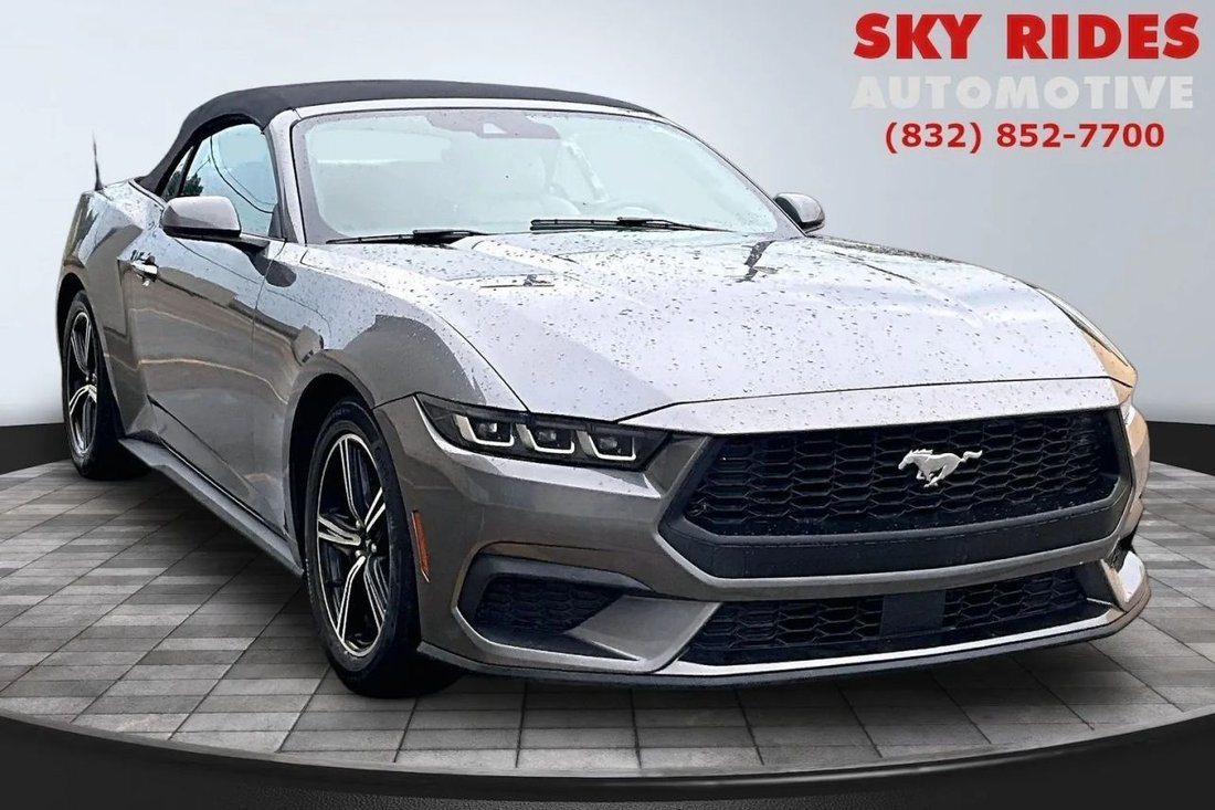 Cabriolet in Houston, TX, United States 1 - 18815718