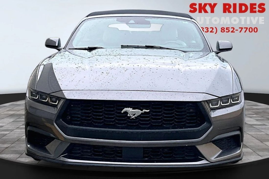 Cabriolet in Houston, TX, United States 2 - 18815718
