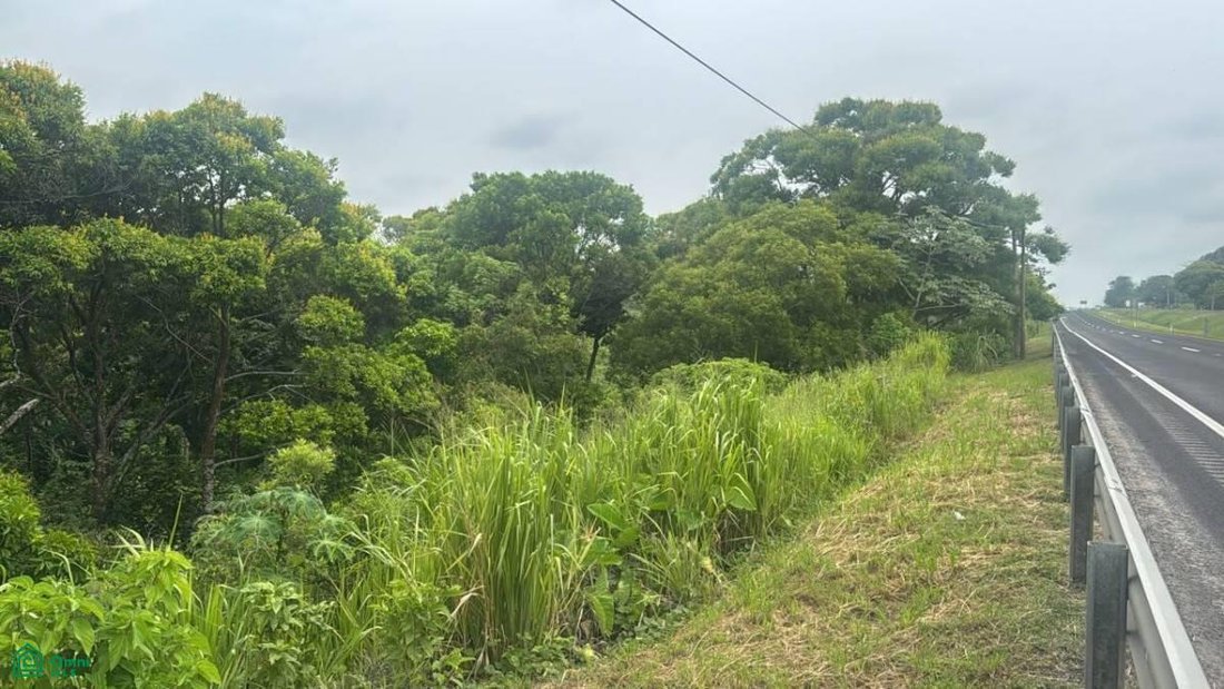 Terreno en Paciencia y Aguacate, Veracruz, México 4 - 18816565