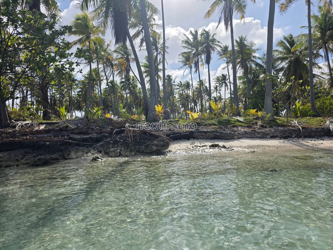 Land in Fakarava Atoll, The Tuamotu and Gambier Islands, French Polynesia 3 - 18816208