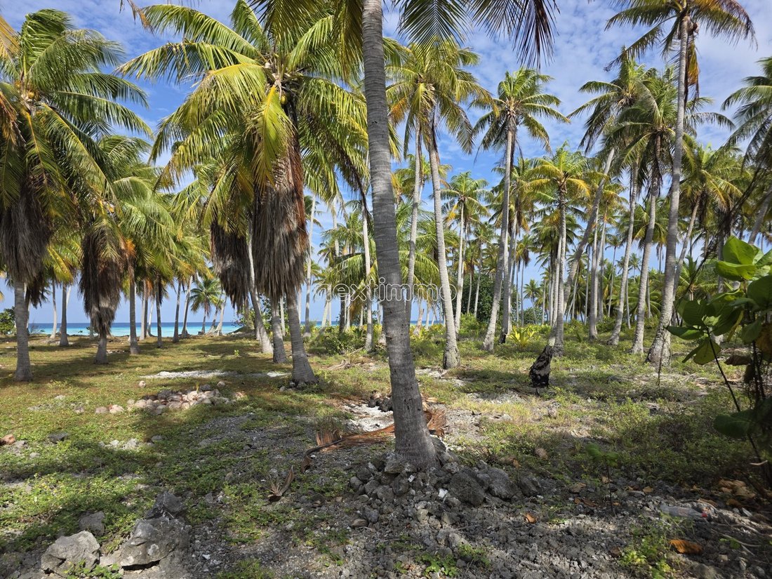 Land in Fakarava Atoll, The Tuamotu and Gambier Islands, French Polynesia 2 - 18816208