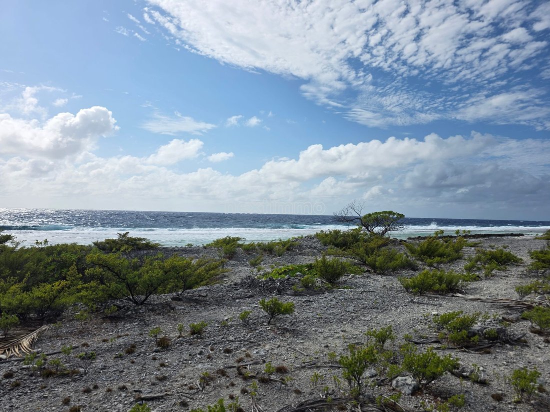 Land in Fakarava Atoll, The Tuamotu and Gambier Islands, French Polynesia 5 - 18816208