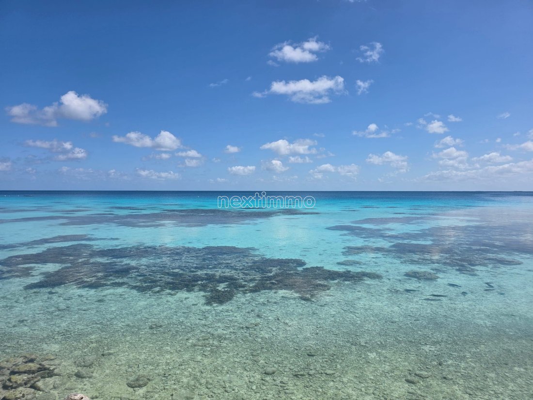 Autres à Fakarava, Îles Tuamotu-Gambier, Polynésie française 1 - 18816217
