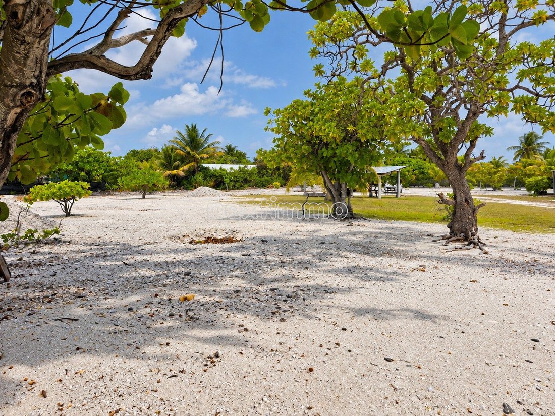House in Fakarava Atoll, The Tuamotu and Gambier Islands, French Polynesia 2 - 18816196