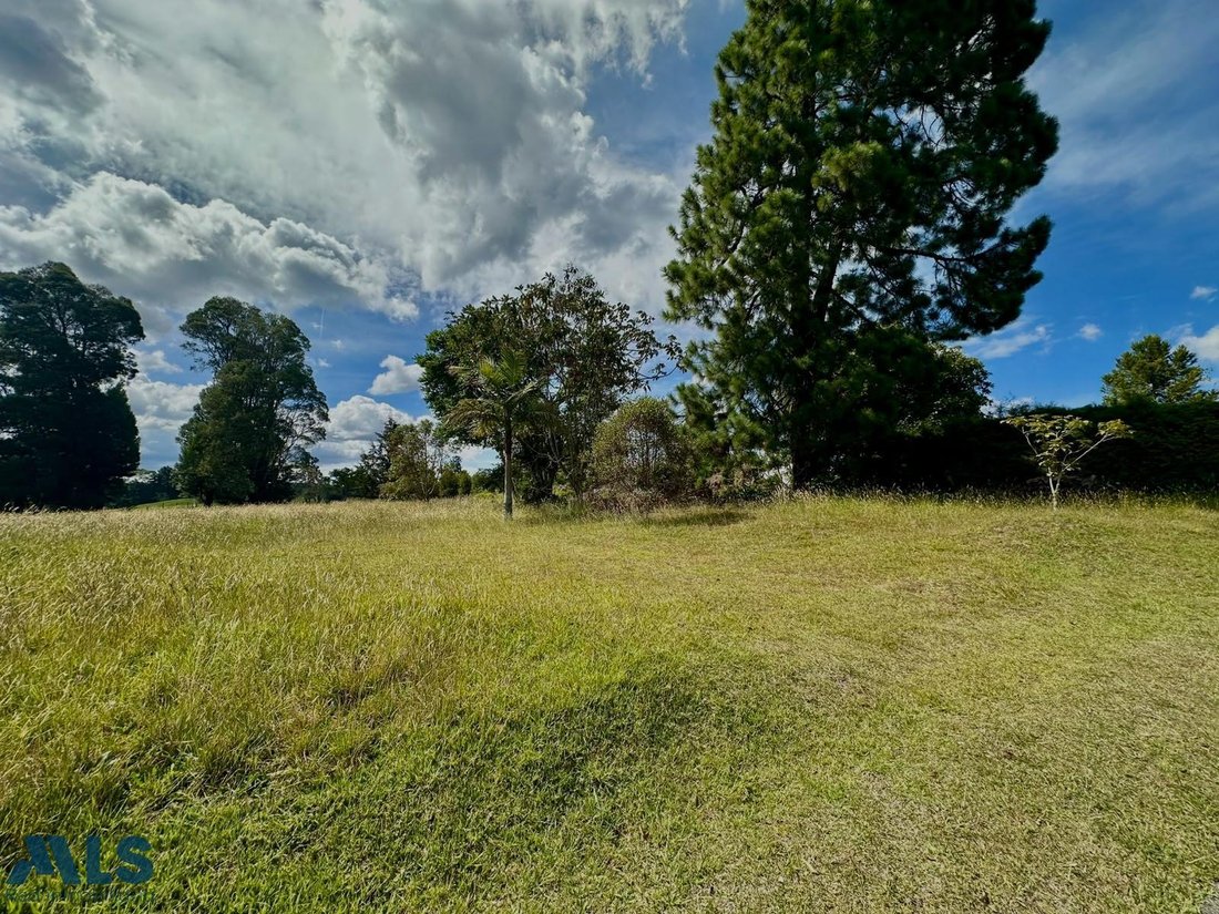 Terrain à Vereda El Penasco, Antioquia, Colombie 5 - 18816897