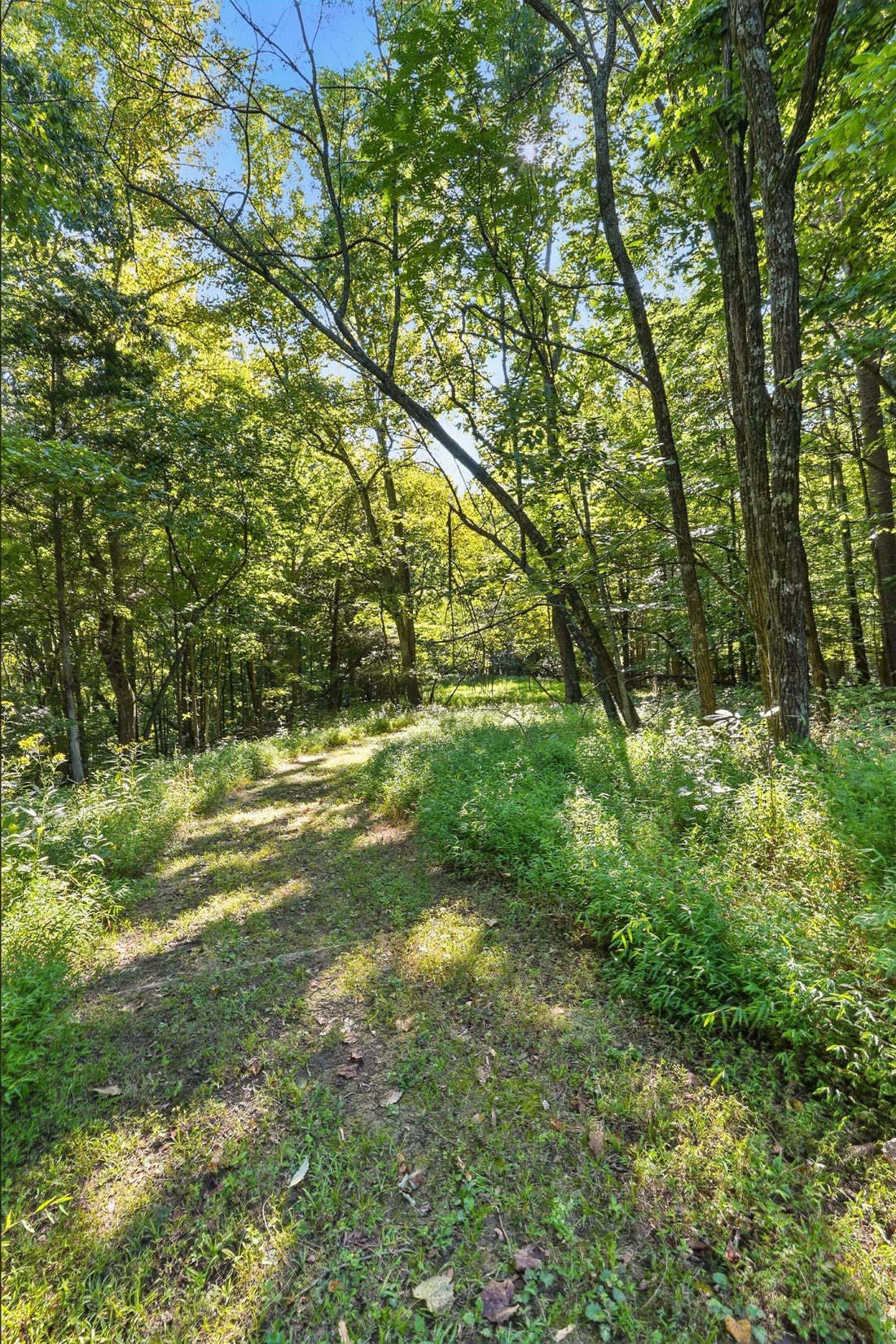 Terreno a Watterson Park, Kentucky, Stati Uniti 2 - 18816263