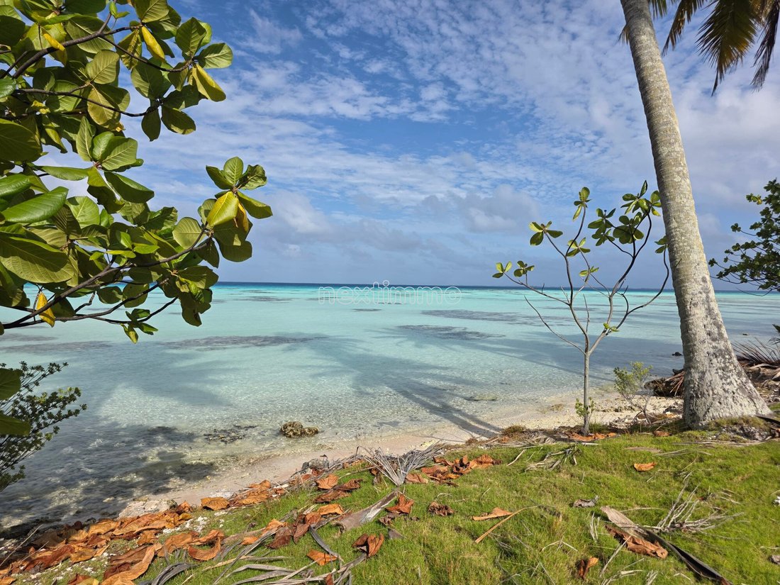 Land in Fakarava Atoll, The Tuamotu and Gambier Islands, French Polynesia 1 - 18816208