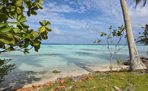 Land in Fakarava Atoll, The Tuamotu and Gambier Islands, French Polynesia 1