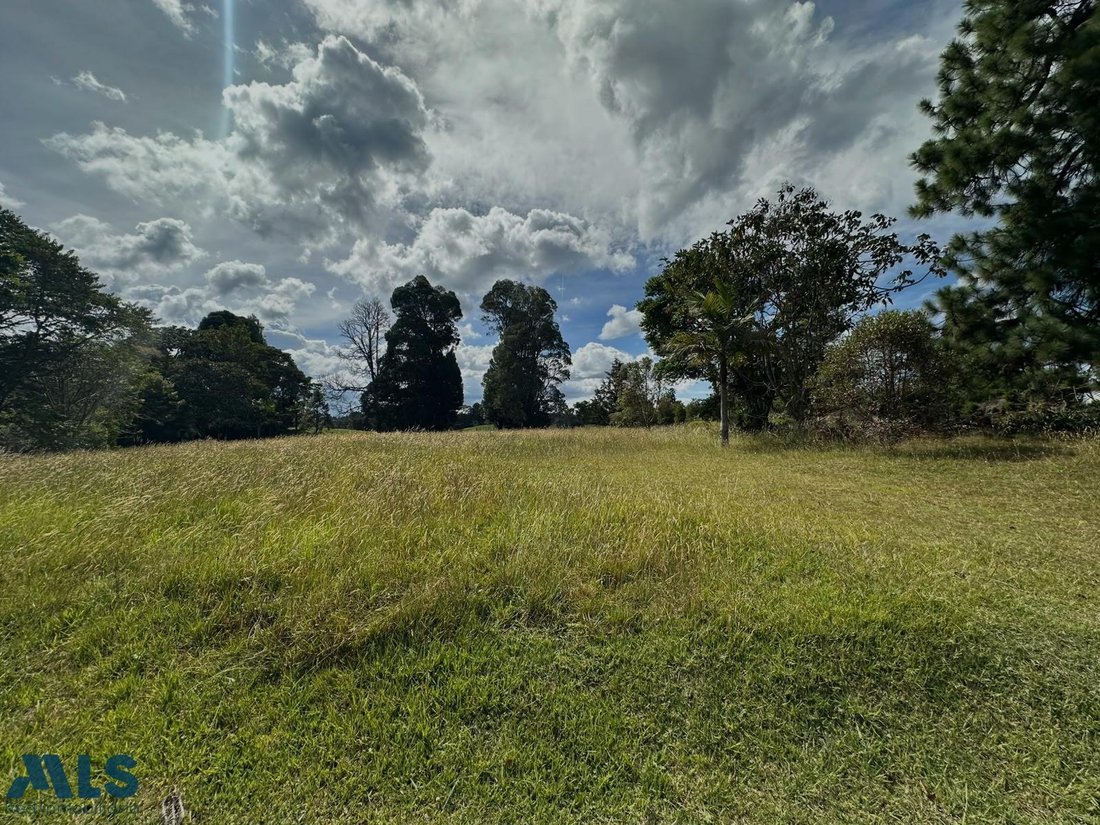 Terrain à Vereda El Penasco, Antioquia, Colombie 1 - 18816897