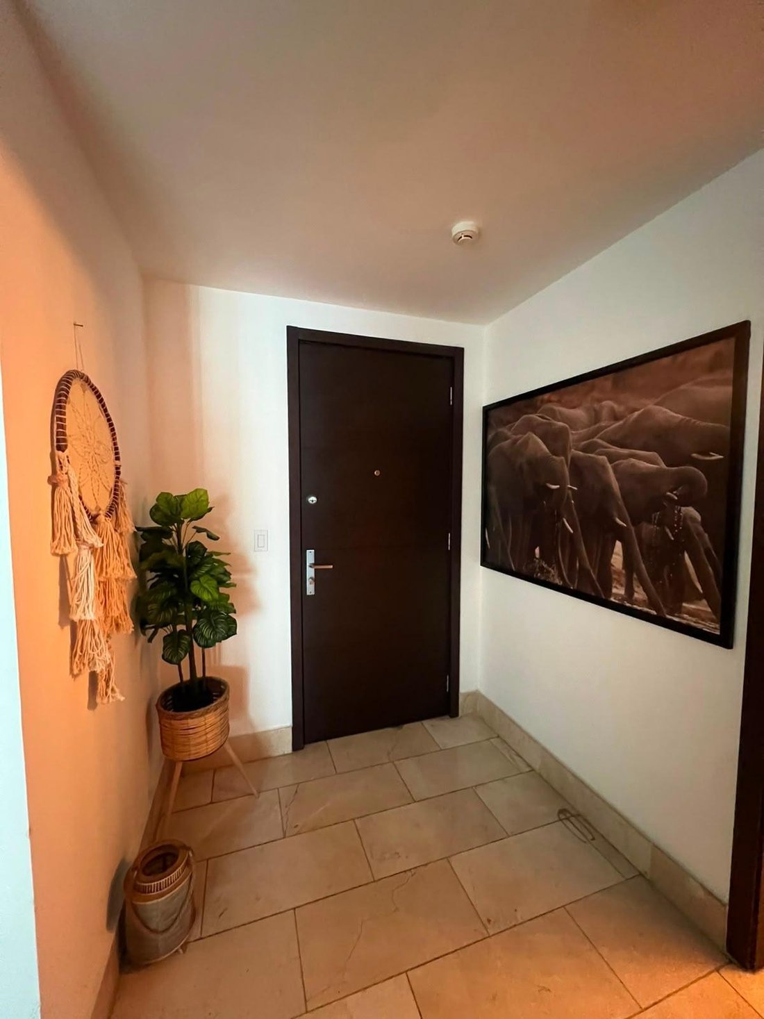 Apartment in Panama City, Panama, Panama 5 - 18817036