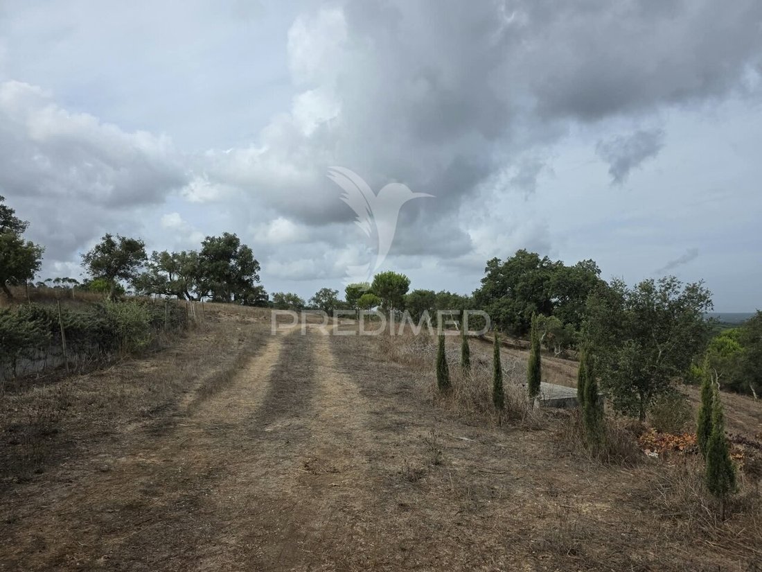 Terreno en Melides, Setúbal Municipality, Portugal 3 - 18817310