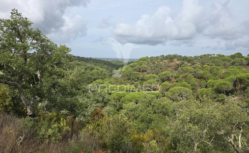 Terreno a Melides, Setúbal Municipality, Portogallo 1