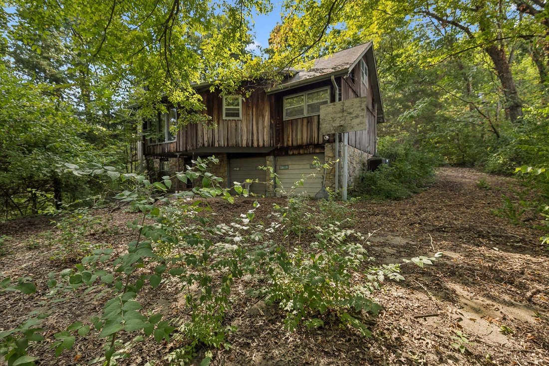 Haus in Forest Hills, Tennessee, Vereinigte Staaten 4 - 18817114