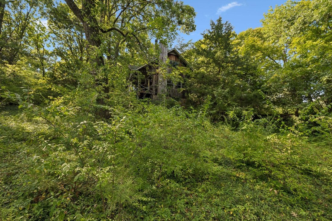 Haus in Forest Hills, Tennessee, Vereinigte Staaten 5 - 18817114