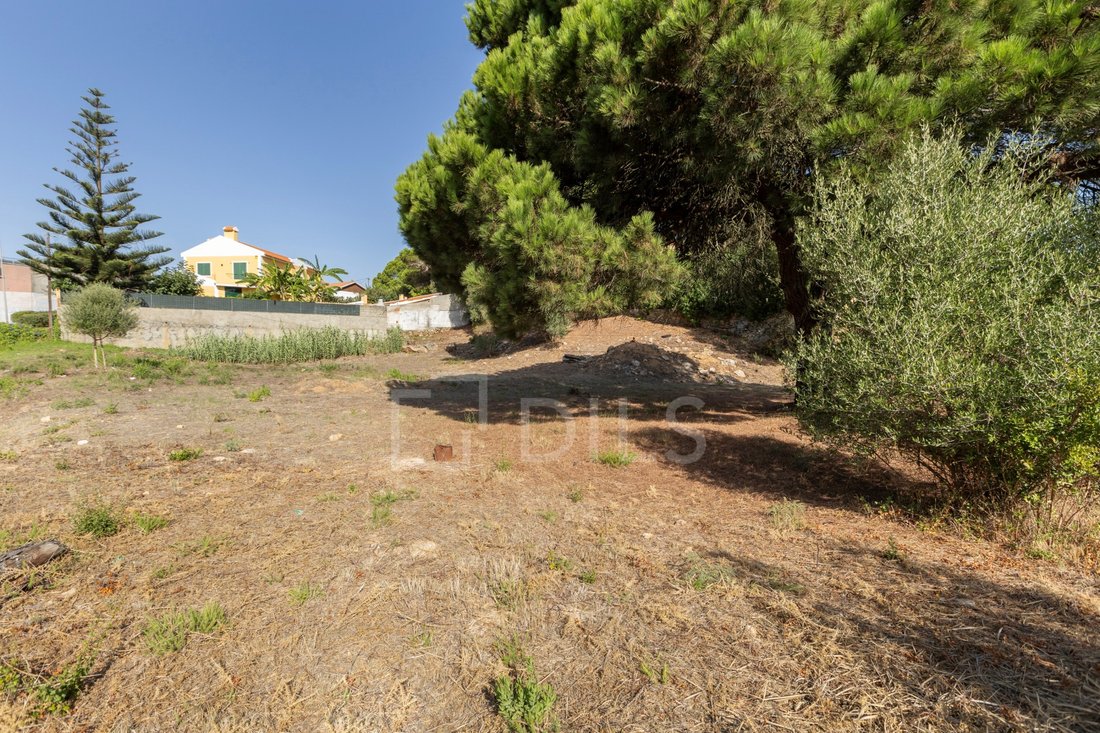 Land in Alcabideche, Lisbon, Portugal 5 - 18817848