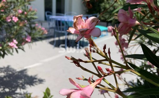 Appartement à Nord, Cavalaire-sur-Mer, France 1