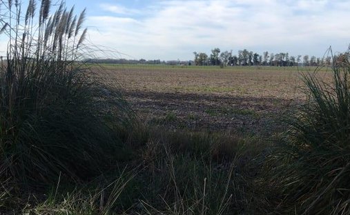 Farm Ranch in Villa Espil, Buenos Aires Province, Argentina 1