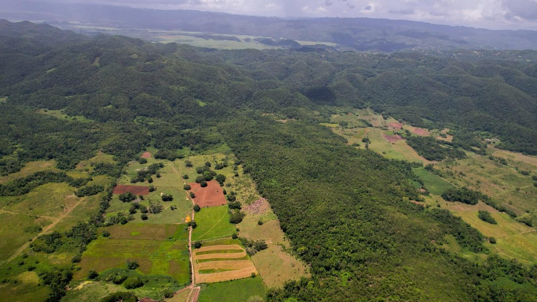 Land in Two Mile Wood, St. Elizabeth Parish, Jamaica 2 - 18819263