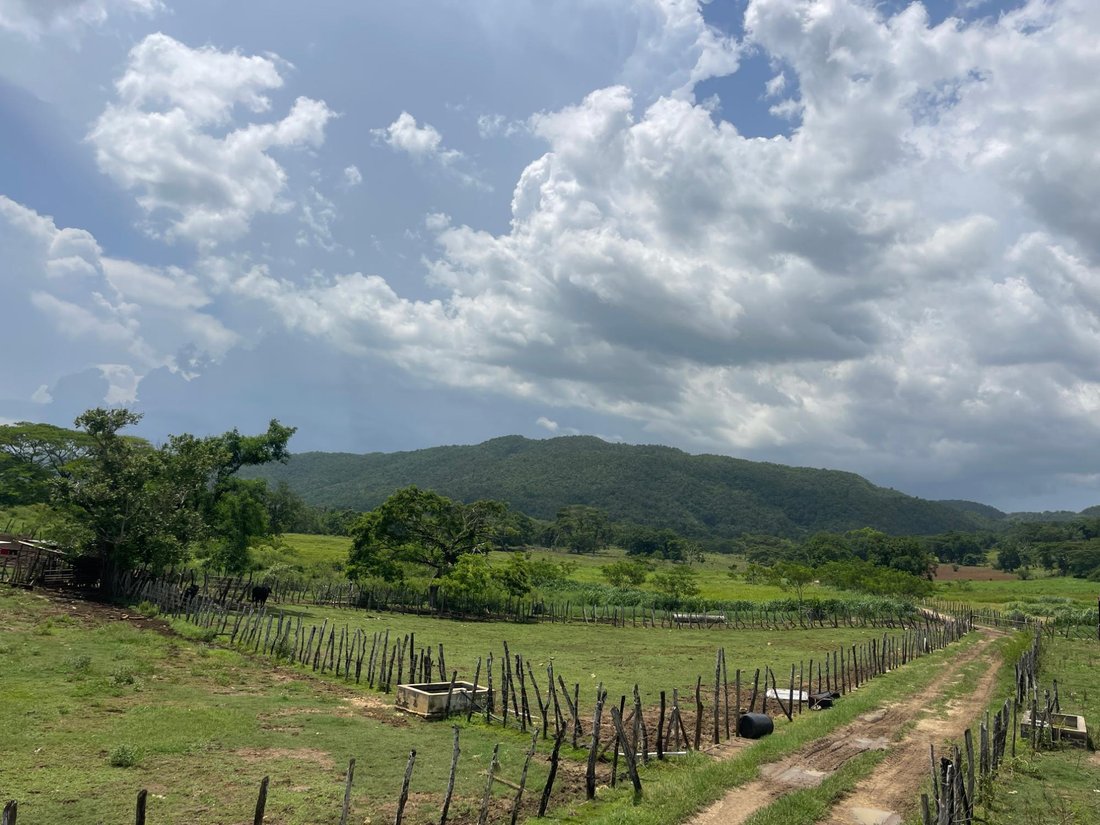 Land in Two Mile Wood, St. Elizabeth Parish, Jamaica 5 - 18819263
