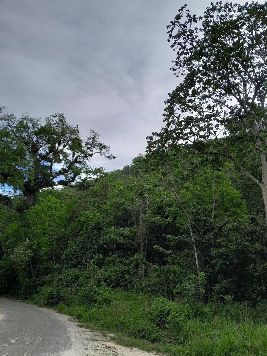 Terreno en Kent Village, St. Catherine Parish, Jamaica 5 - 18819318