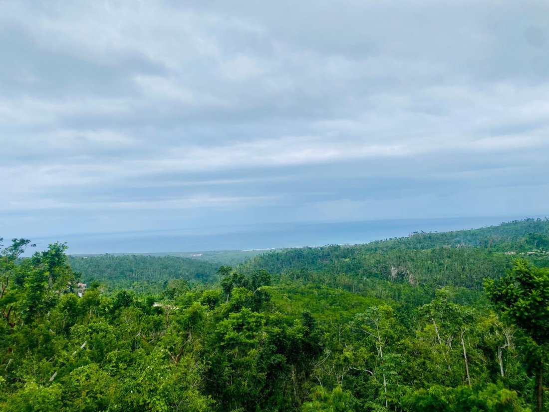 Land in Dumbarton, St. Ann Parish, Jamaica 2 - 18819090