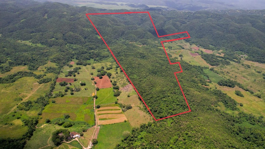 Land in Two Mile Wood, St. Elizabeth Parish, Jamaica 3 - 18819263