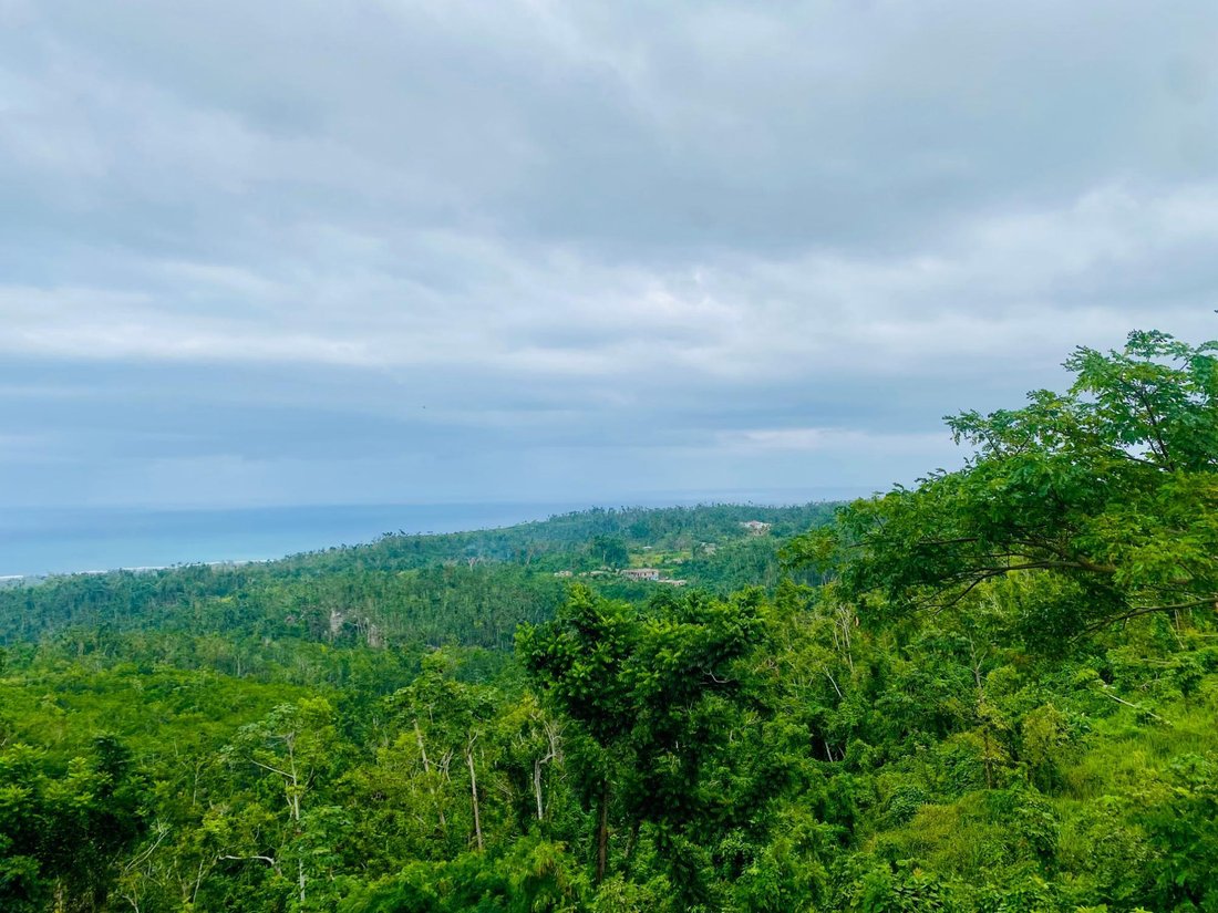 Land in Dumbarton, St. Ann Parish, Jamaica 1 - 18819090