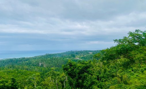 Land in Dumbarton, St. Ann Parish, Jamaica 1