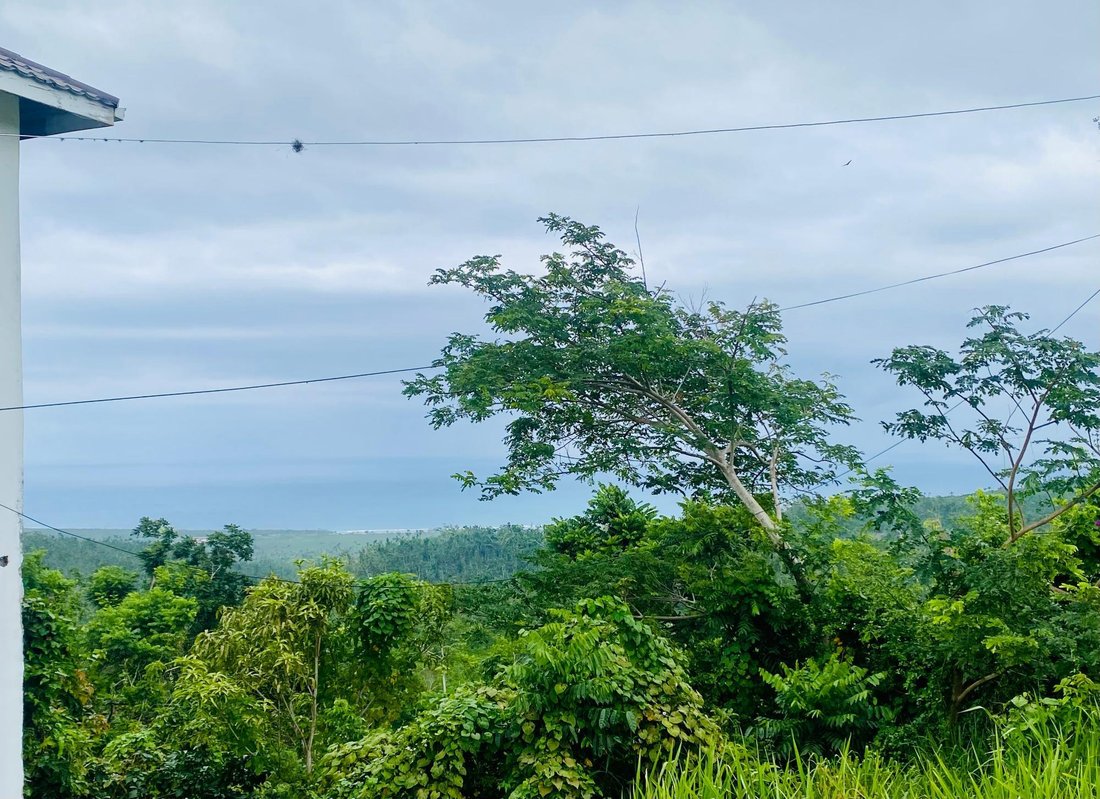 Land in Dumbarton, St. Ann Parish, Jamaica 5 - 18819090