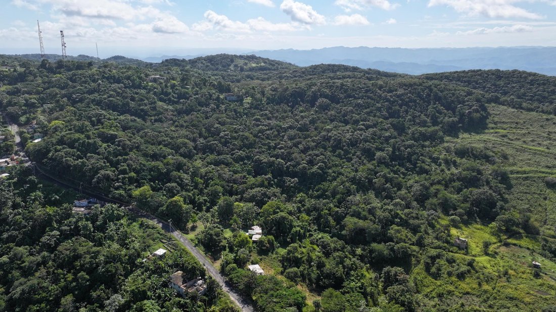 Terreno en Bahía Montego, Parroquia de Saint James, Jamaica 1 - 18819349