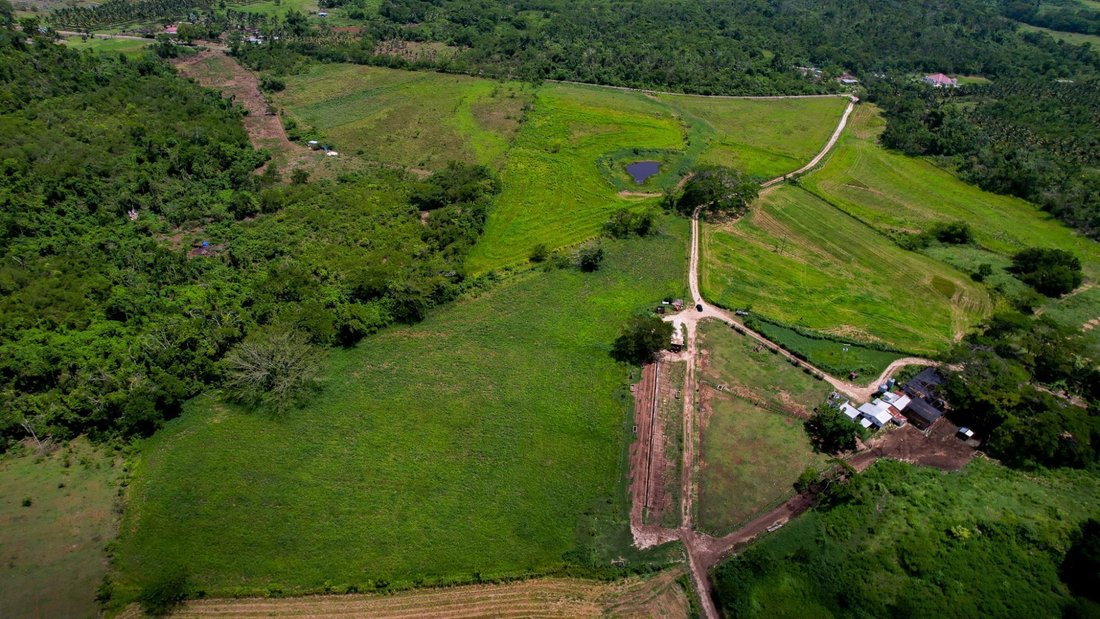 Land in Two Mile Wood, St. Elizabeth Parish, Jamaica 1 - 18819263