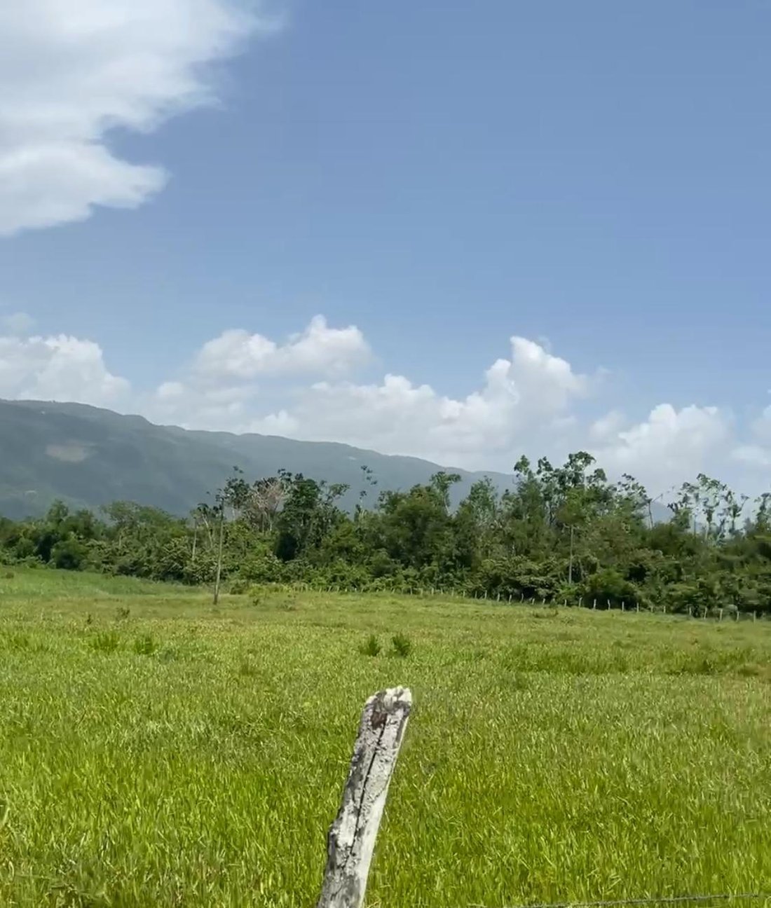 Land in Two Mile Wood, St. Elizabeth Parish, Jamaica 4 - 18819263