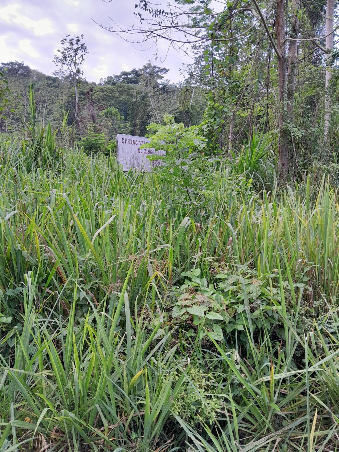 Terreno en Kent Village, St. Catherine Parish, Jamaica 4 - 18819318