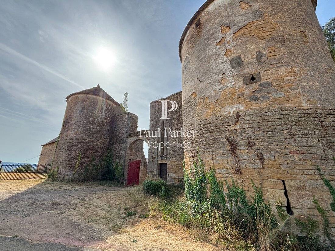 Castello a Saint-Andre-le-Désert, Borgogna-Franca Contea, Francia 2 - 18818525