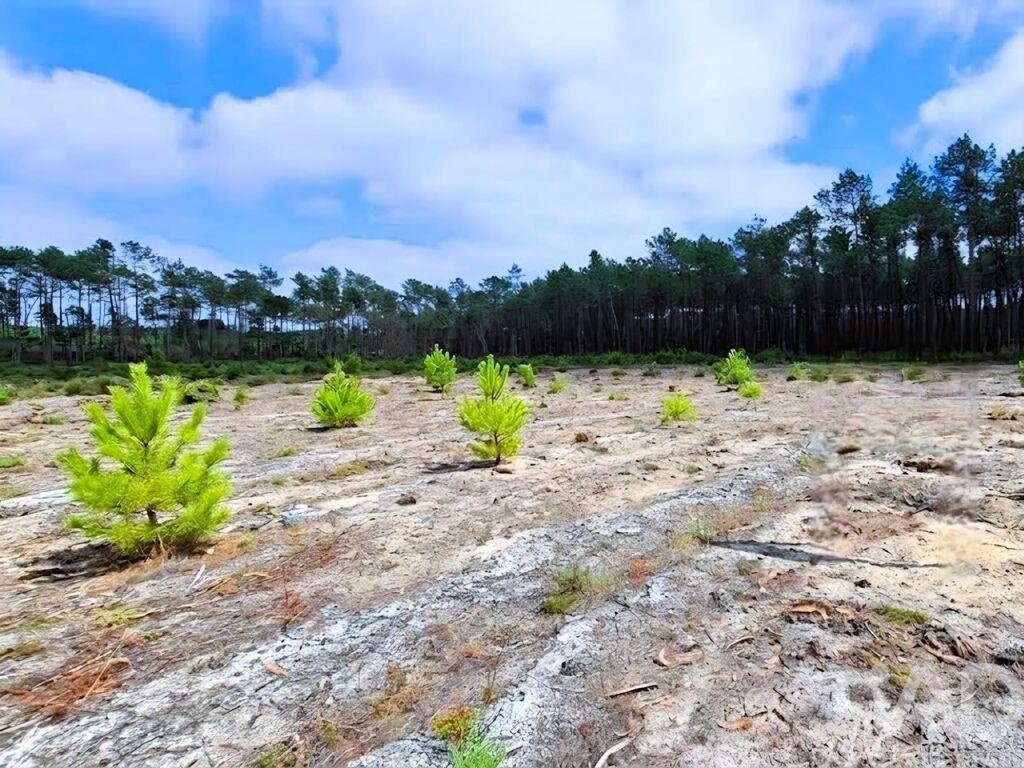 Land in Pataias, Leiria District, Portugal 4 - 16745255