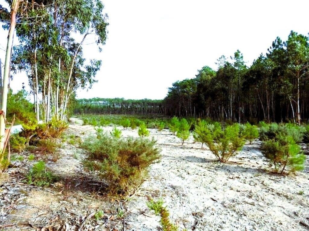 Land in Pataias, Leiria District, Portugal 3 - 16745255