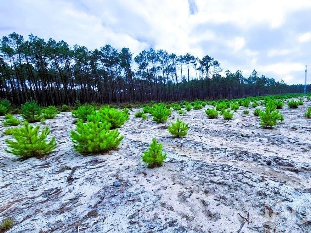 Land in Pataias, Leiria District, Portugal 2 - 16745255