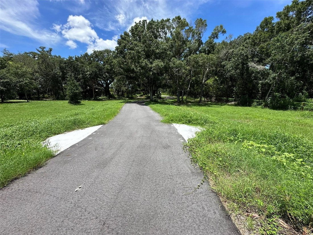 Terrain à Palm Harbor, Floride, États-Unis 5 - 18818594