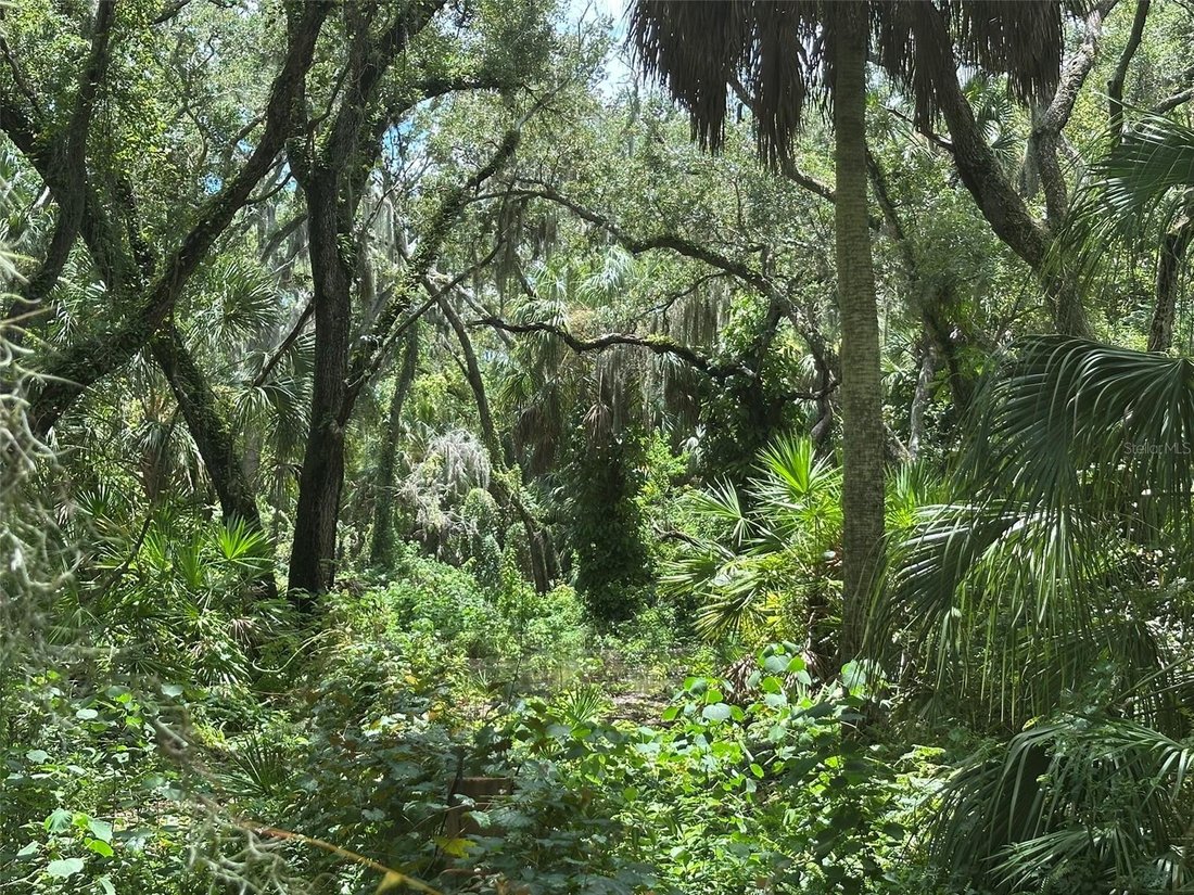 Terrain à Palm Harbor, Floride, États-Unis 2 - 18818594