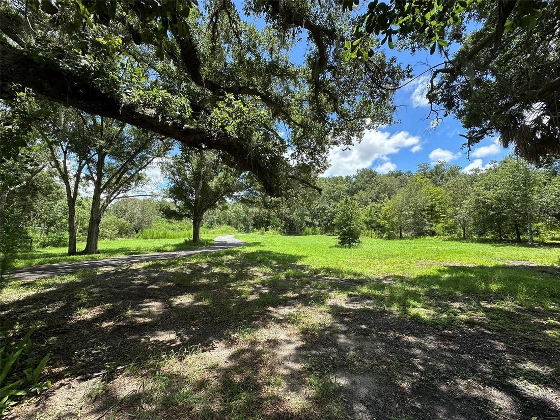 Terrain à Palm Harbor, Floride, États-Unis 1 - 18818594