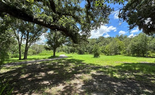 Terreno a Palm Harbor, Florida, Stati Uniti 1