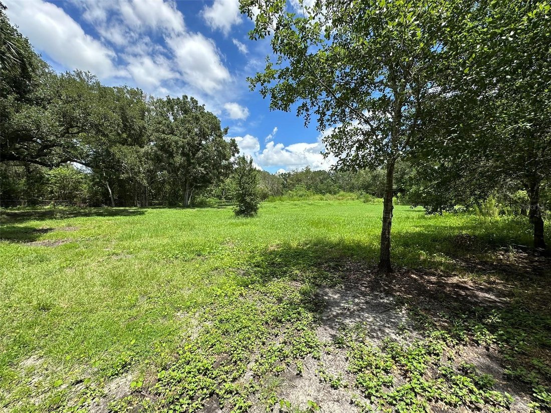 Terrain à Palm Harbor, Floride, États-Unis 3 - 18818594